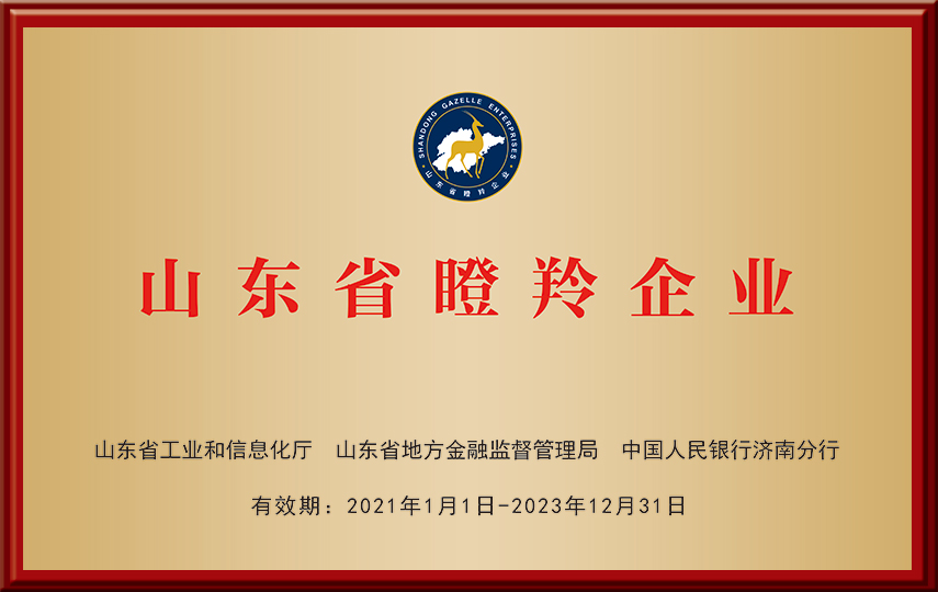 全香港最精准10码