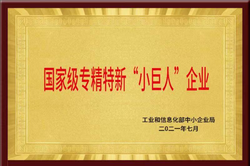 全香港最精准10码