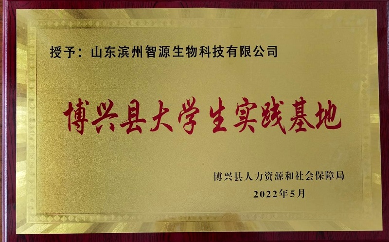 全香港最精准10码