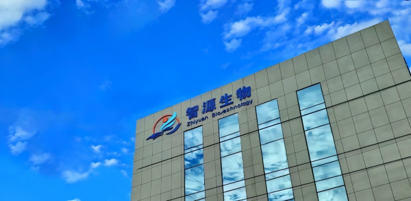 全香港最精准10码