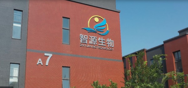 全香港最精准10码