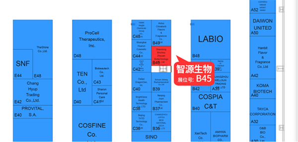 全香港最精准10码