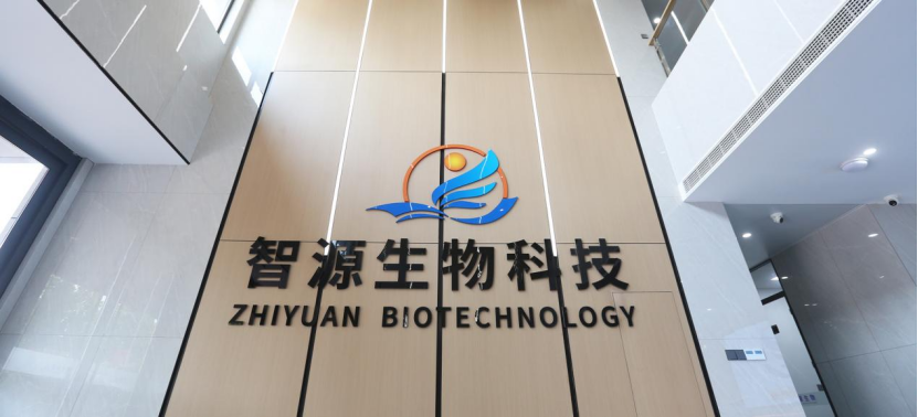 全香港最精准10码 全香港最精准10码