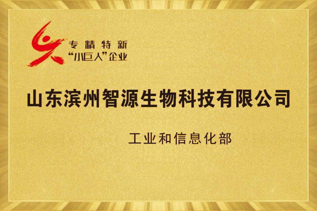 全香港最精准10码