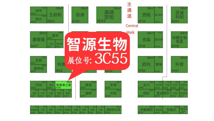 全香港最精准10码 全香港最精准10码