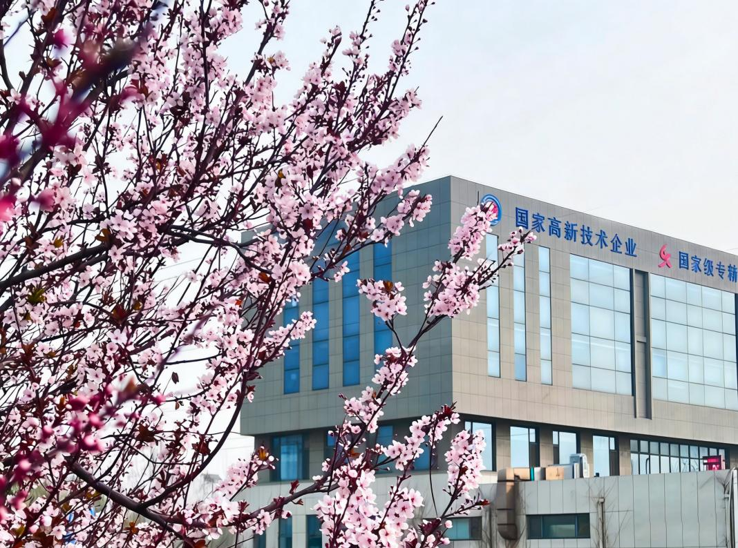 全香港最精准10码