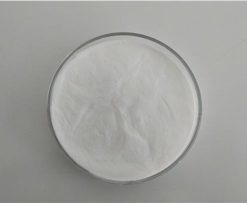 全香港最精准10码
