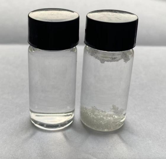 全香港最精准10码