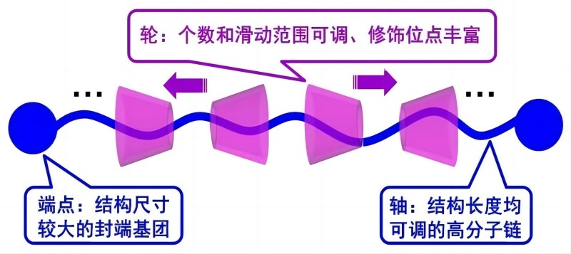 全香港最精准10码